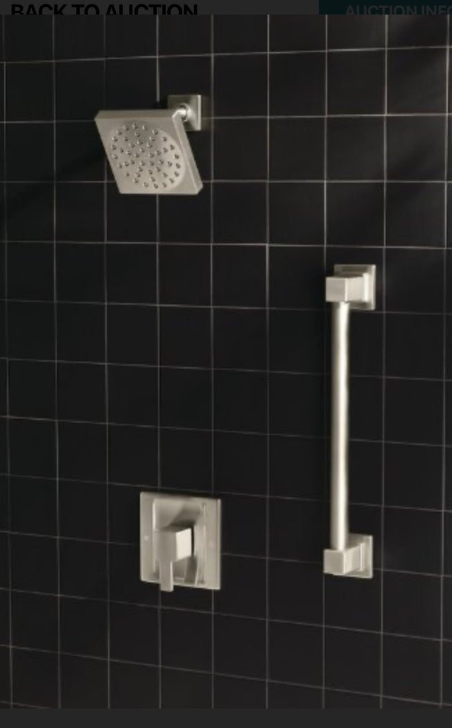 Retail Le$$-Brushed-nickel-grab-bar