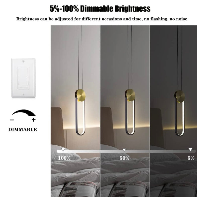 Oval LED Pendant Light