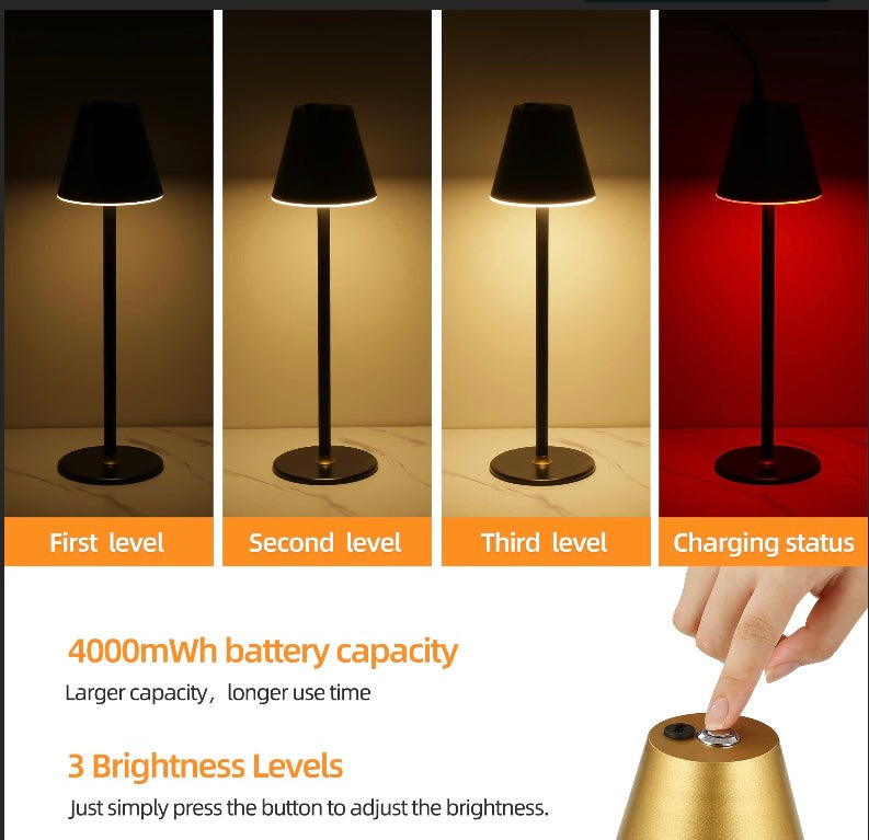 Retail Le$$ - Gold LED cordless lamps