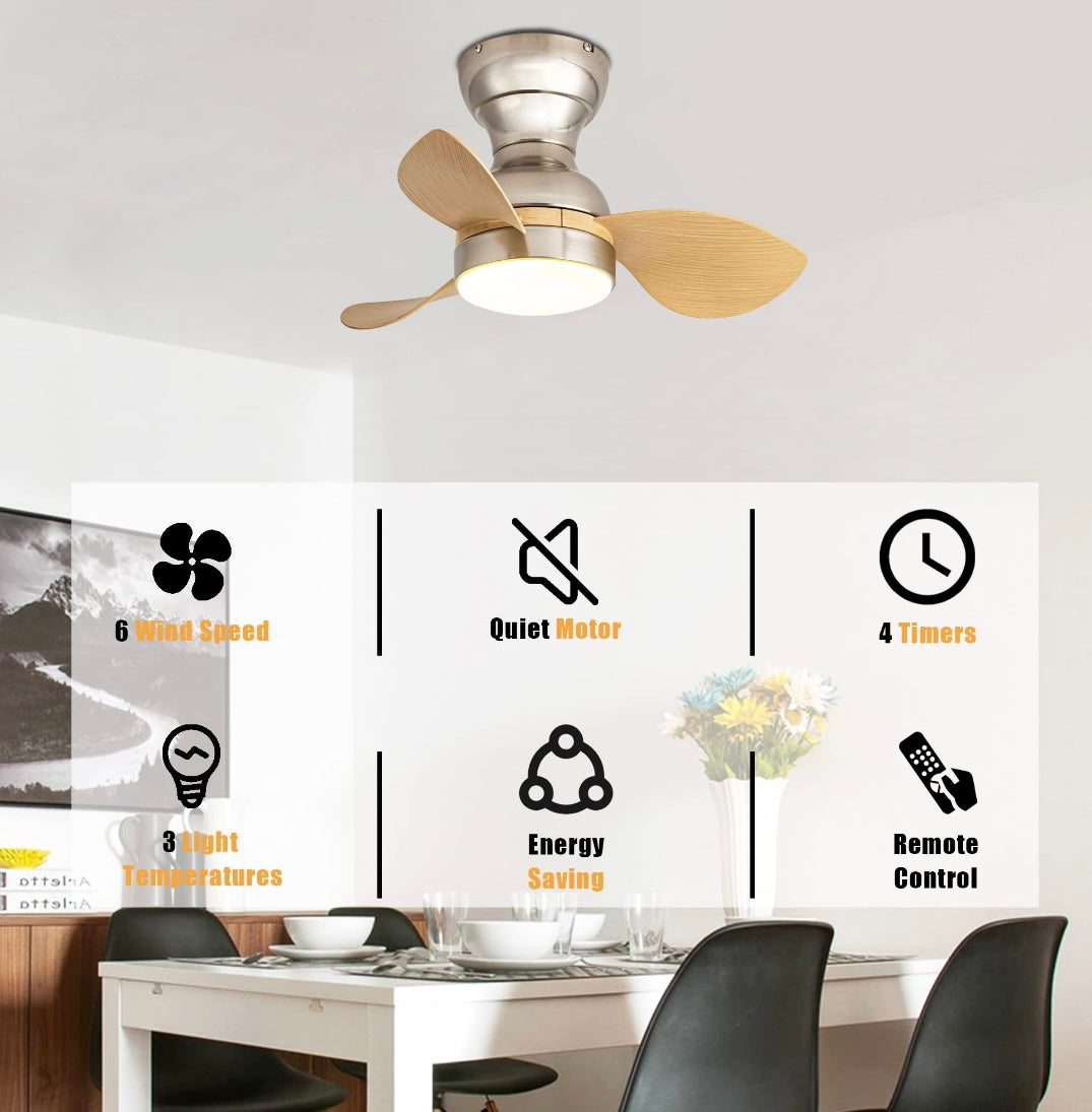 Retail Le$$-22"-Brushed-nickel-fan-light