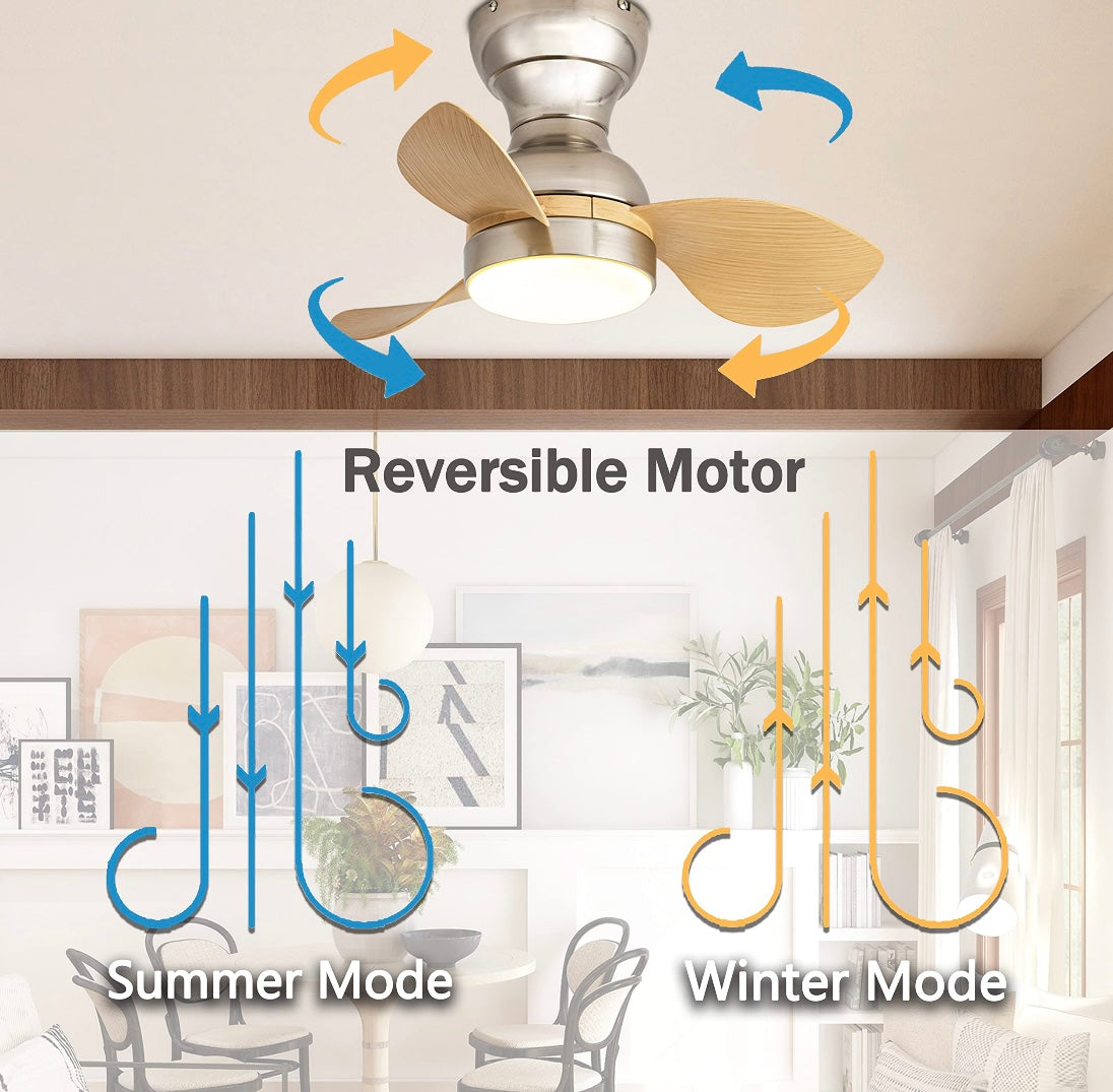 Retail Le$$-22"-Brushed-nickel-fan-light