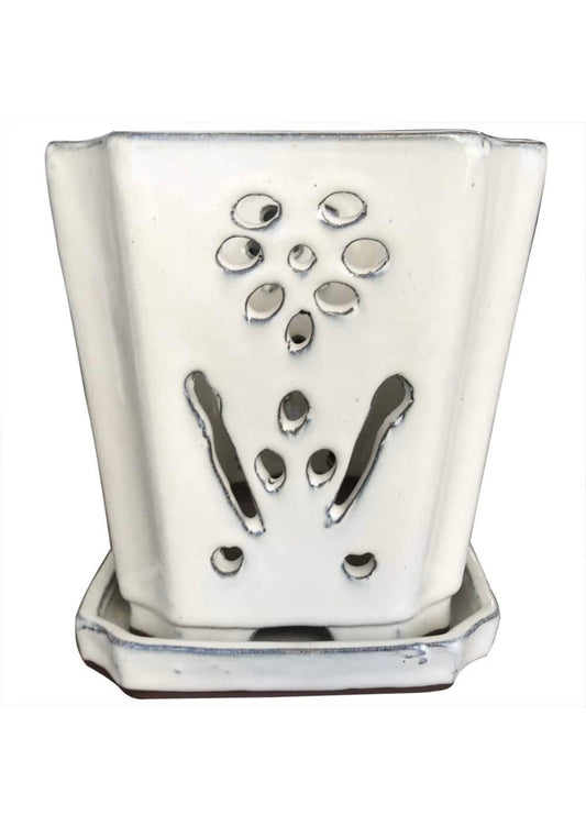 Retail LE$$_White_orchid_pot