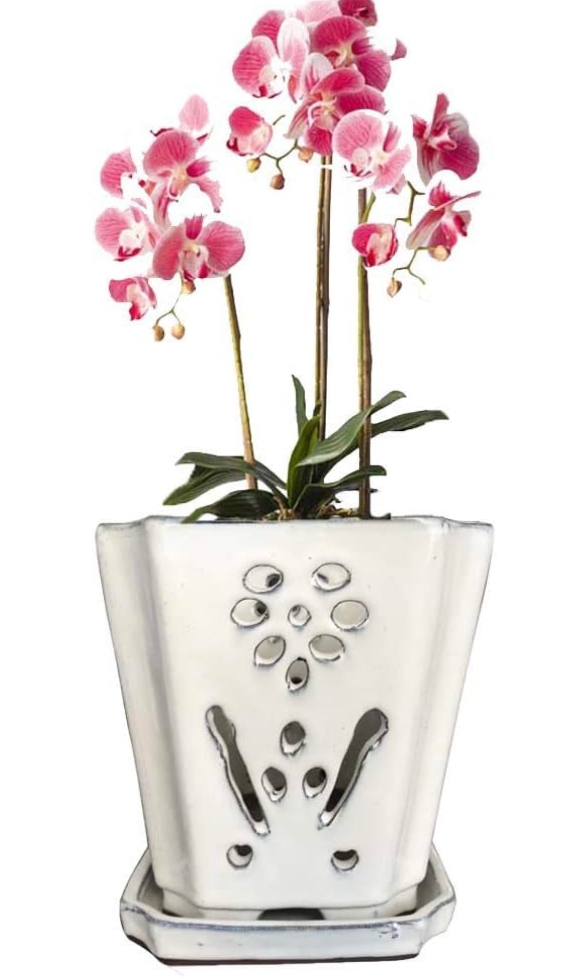 Retail LE$$_White_orchid_pot