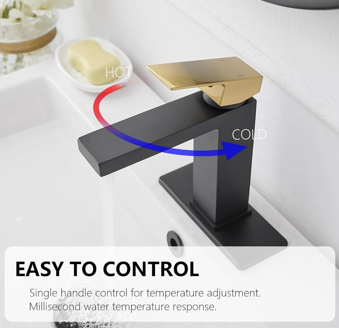 Matte Black & Gold Faucet