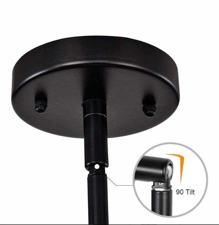 C Cattleya Pendant Light