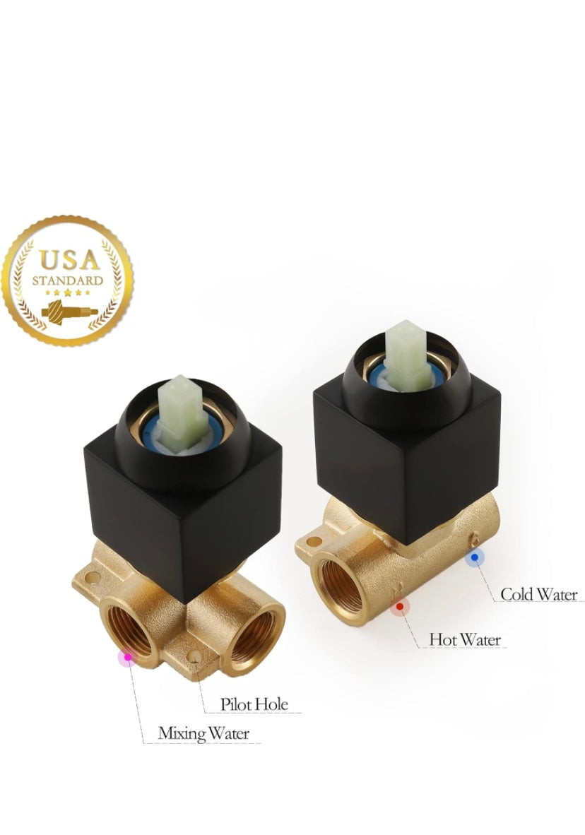 Retail Le$$ - Black all shower tub hardware with valve
