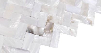 Sea Shell Mother of Pearl Tile
