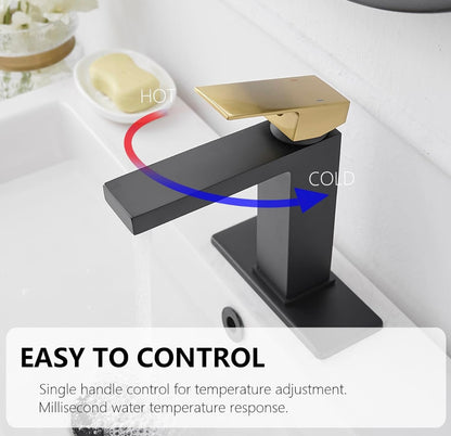 Matte Black & Gold Faucet