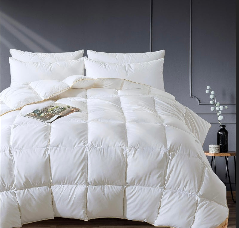 Retail Le$$ - White twin feather down comforter 